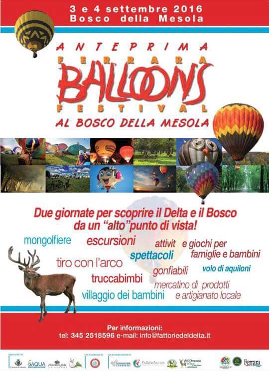 Anteprima Ferrara Balloons Festival