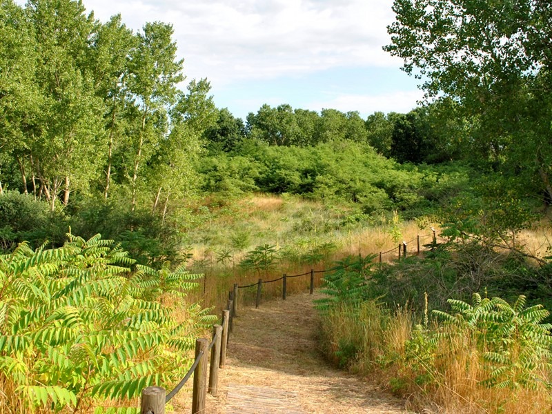 Dune Fossili di Massenzatica